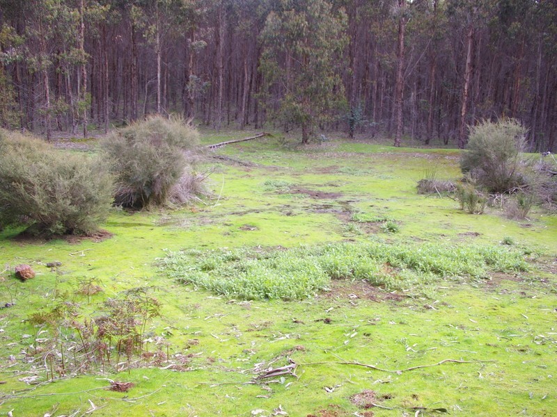 11215 Mount Lewin Loop Road, Nannup WA 6275