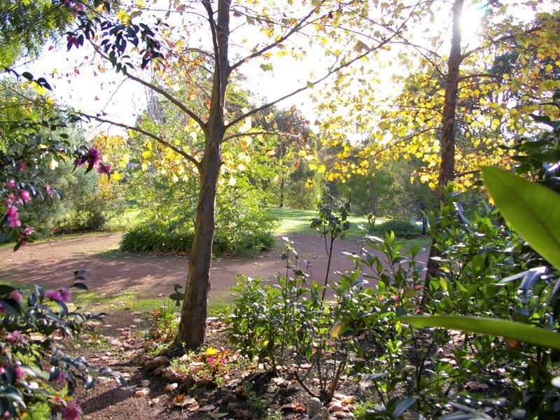 106 Barrabup Road, Nannup WA 6275