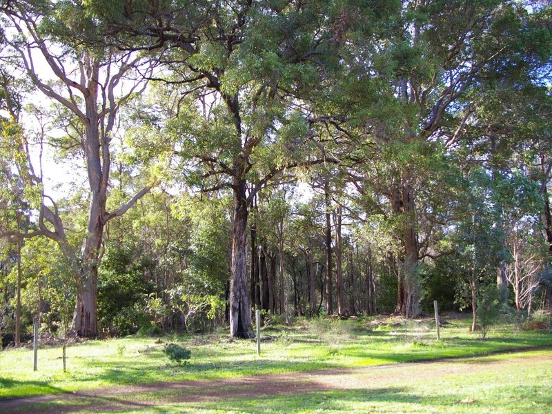 106 Barrabup Road, Nannup WA 6275