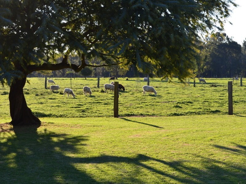 Lot 2 East Nannup Road, Nannup WA 6275