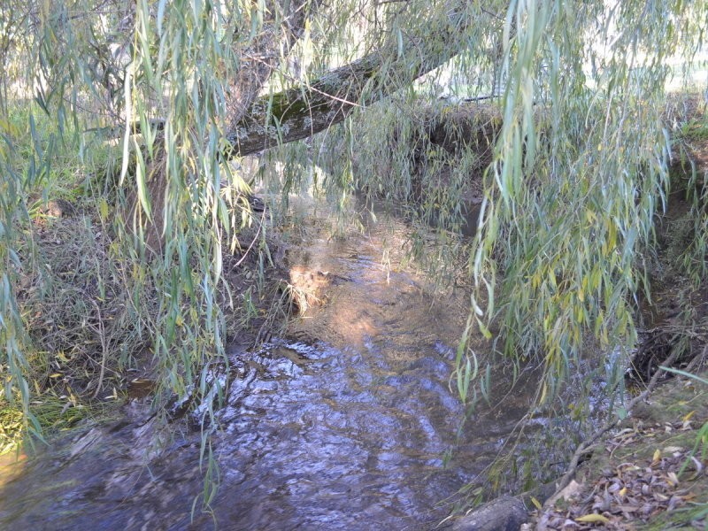 Lot 2 East Nannup Road, Nannup WA 6275