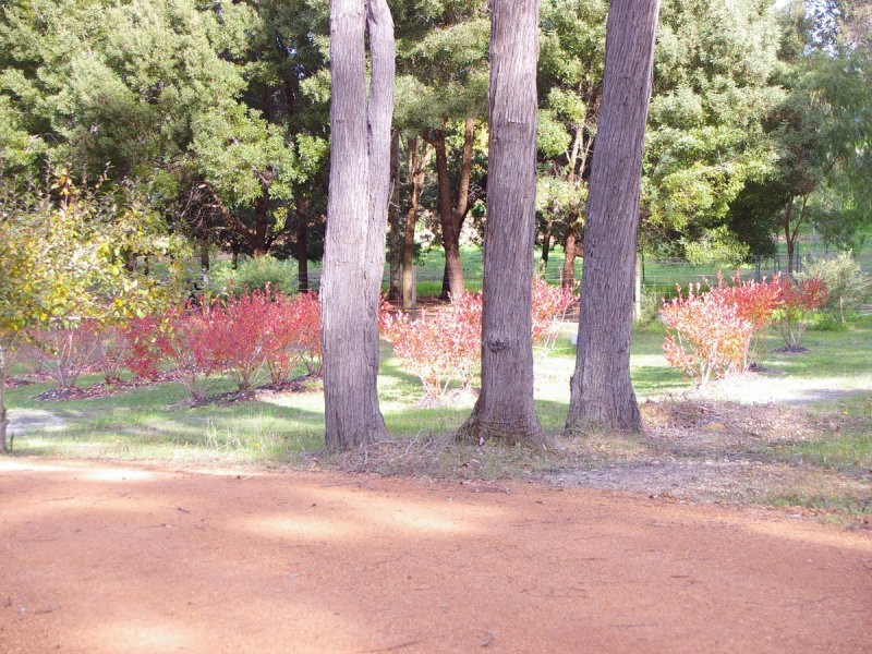 500 Barrabup Road, Nannup WA 6275