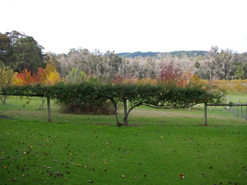 500 Barrabup Road, Nannup WA 6275