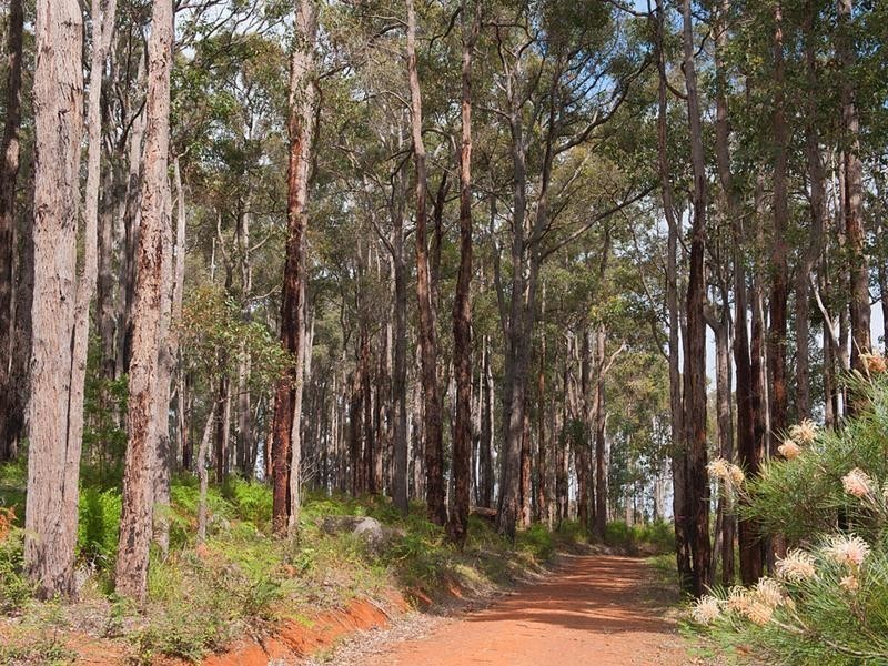 101 Chalwell Road, Nannup WA 6275