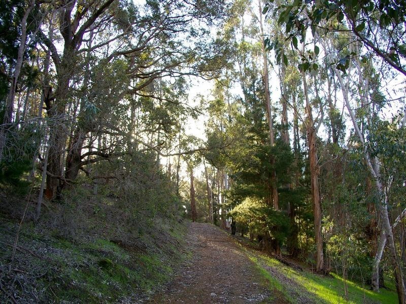 Lot 1,  East Nannup Road, Nannup WA 6275
