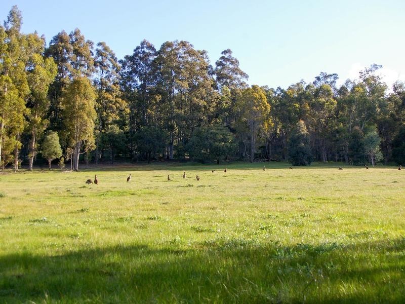 Lot 1,  East Nannup Road, Nannup WA 6275