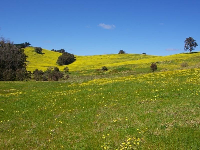 25 Diggers Green, Nannup WA 6275