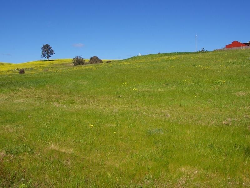 25 Diggers Green, Nannup WA 6275