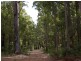 Lot 11189,  Mt Lewin Loop Road, Carlotta WA 6275
