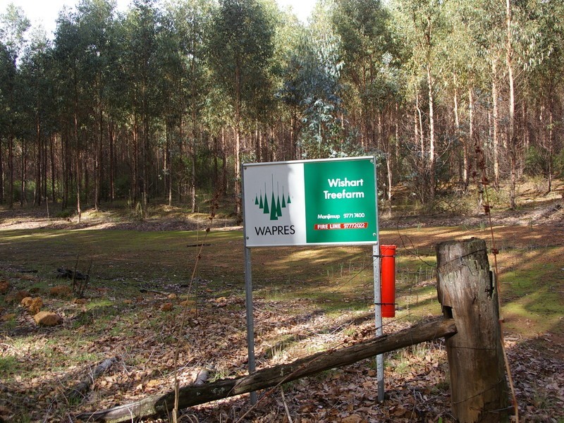 Lot 11189,  Mt Lewin Loop Road, Carlotta WA 6275