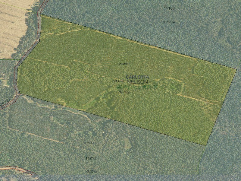 Lot 11189,  Mt Lewin Loop Road, Carlotta WA 6275