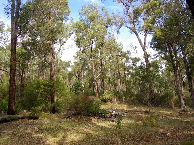 Lot 11189,  Mt Lewin Loop Road, Carlotta WA 6275