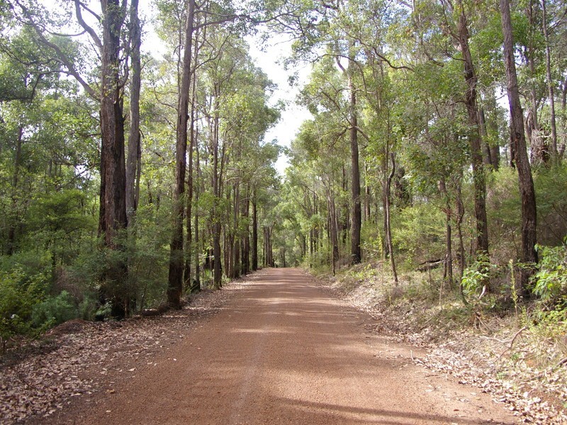 Lot 11189,  Mt Lewin Loop Road, Carlotta WA 6275