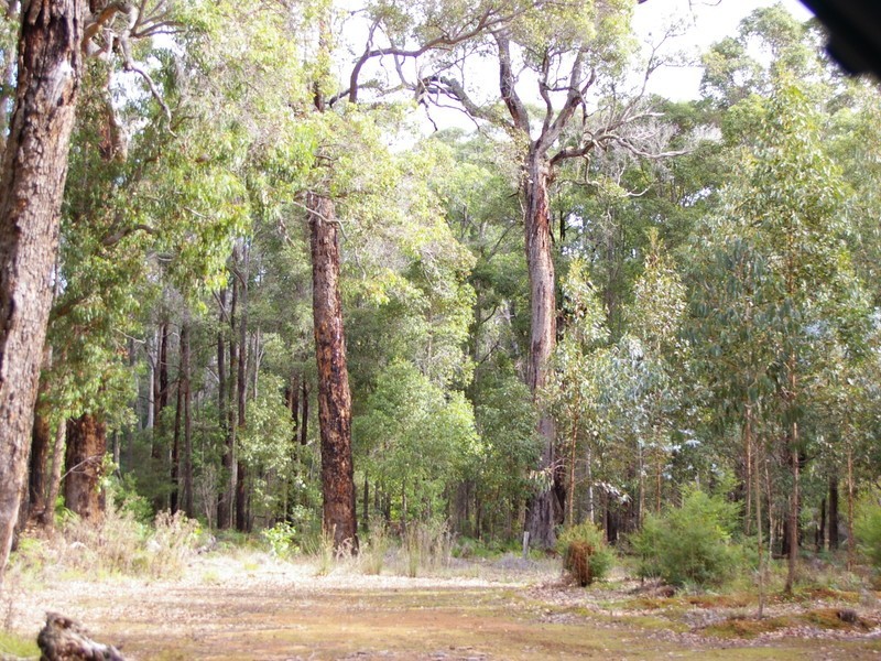 Lot 11189,  Mt Lewin Loop Road, Carlotta WA 6275