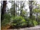 Lot 11189,  Mt Lewin Loop Road, Carlotta WA 6275