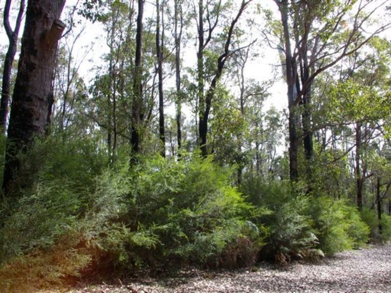 Lot 11189,  Mt Lewin Loop Road, Carlotta WA 6275