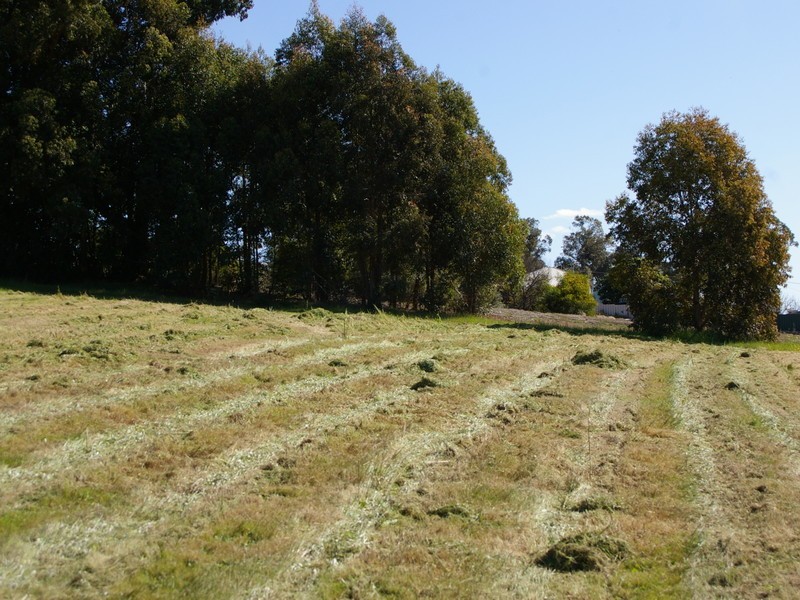 24 Hitchcock Drive, Nannup WA 6275