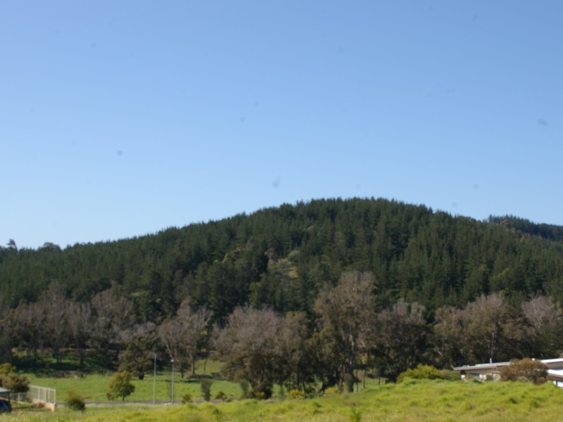 24 Hitchcock Drive, Nannup WA 6275