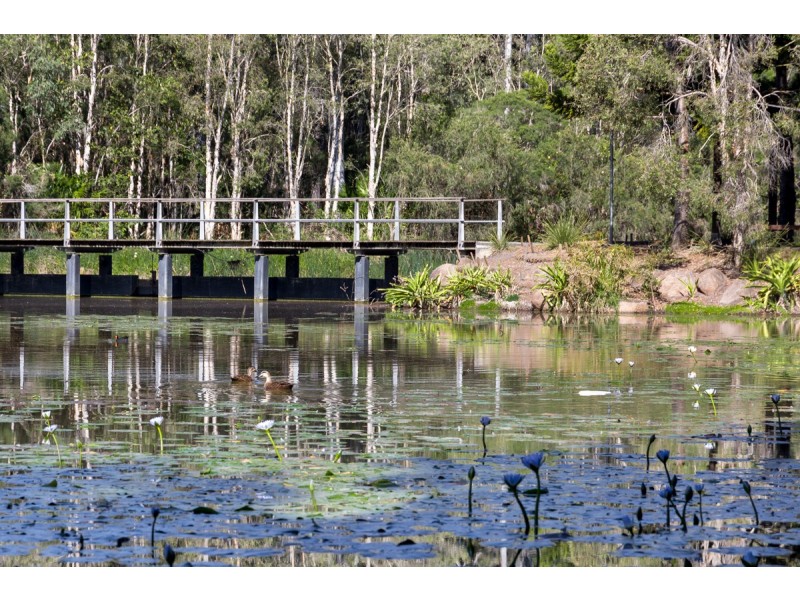 161 Edenbrooke Drive, Seventeen Mile Rocks QLD 4073