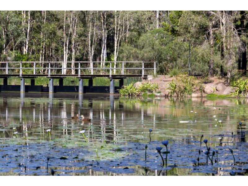 96 Brookeside Crescent, Seventeen Mile Rocks QLD 4073