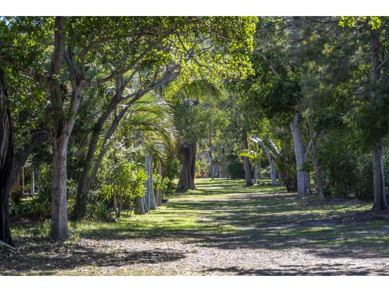 9 Wattle Street, Winfield QLD 4670