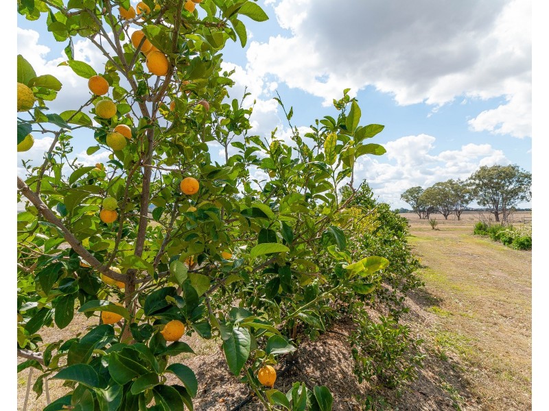 1349 Old Rosevale Road, Rosevale QLD 4340