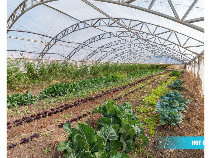 1349 Old Rosevale Road, Rosevale QLD 4340