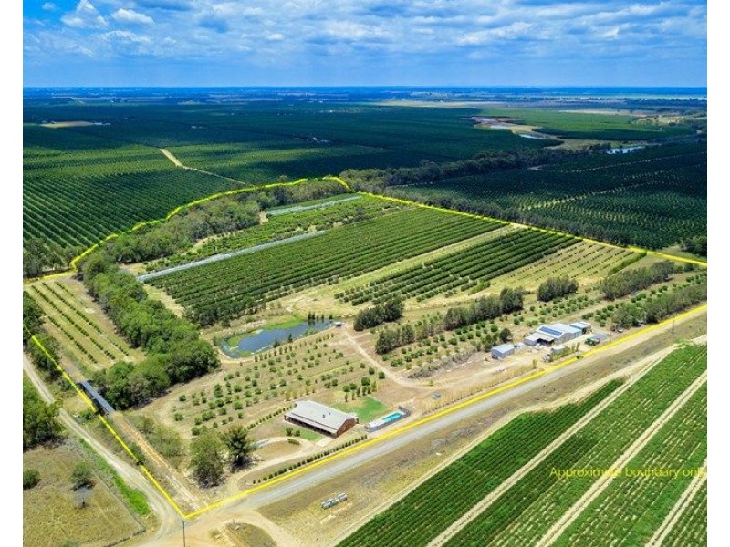 173 Bonels Road, Welcome Creek QLD 4670