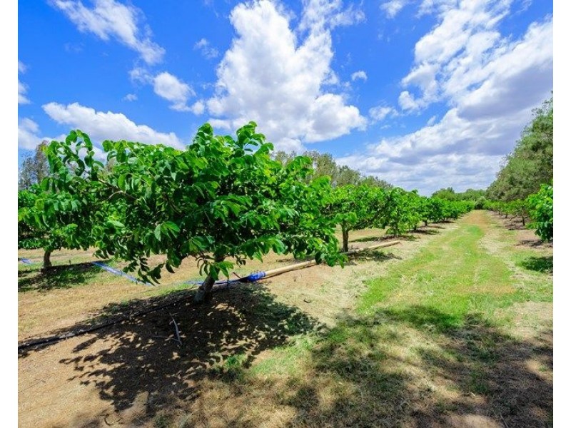 173 Bonels Road, Welcome Creek QLD 4670