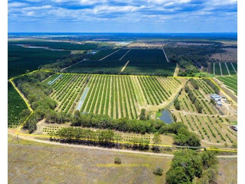 173 Bonels Road, Welcome Creek QLD 4670