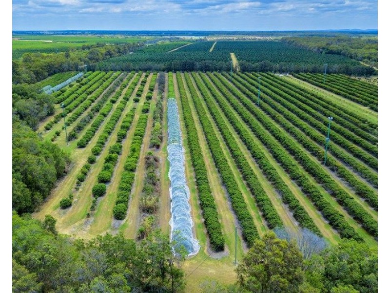 173 Bonels Road, Welcome Creek QLD 4670