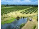 173 Bonels Road, Welcome Creek QLD 4670
