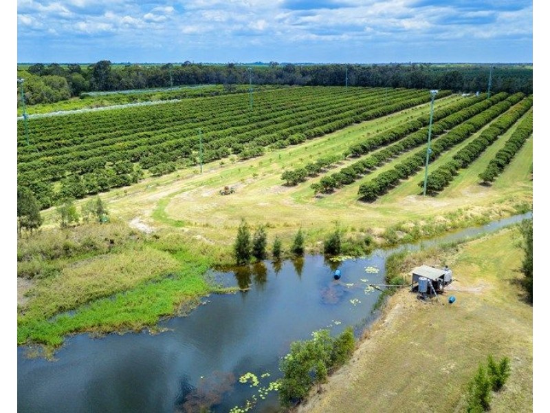 173 Bonels Road, Welcome Creek QLD 4670