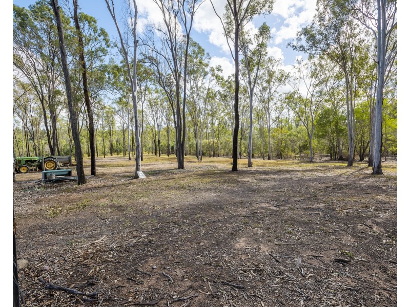 102 Platypus Drive, South Kolan QLD 4670