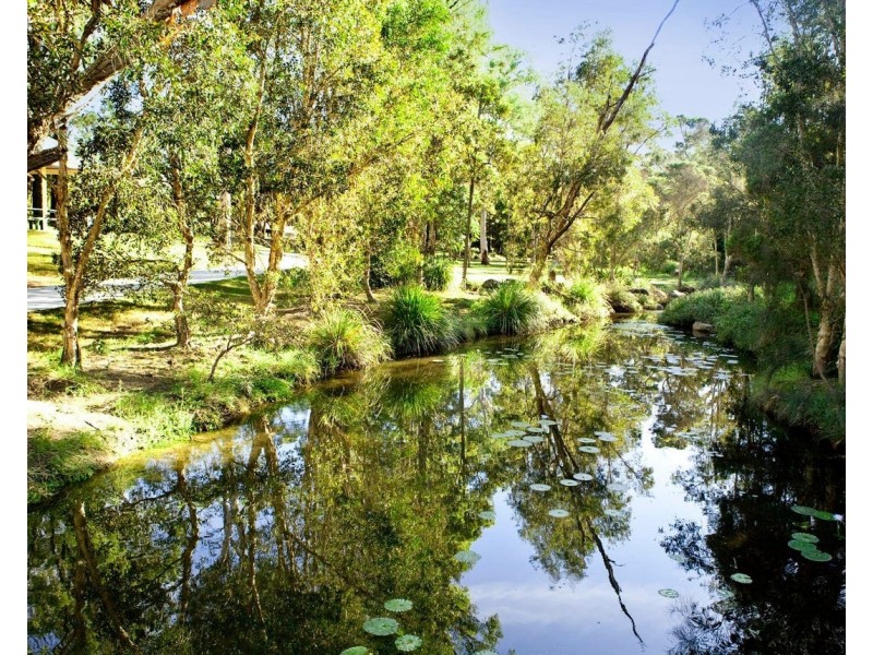 41 Edenbrooke Drive, Sinnamon Park QLD 4073