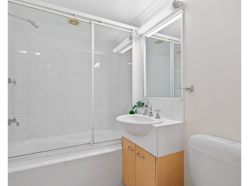 8/182 Carmody Road, St Lucia QLD 4067