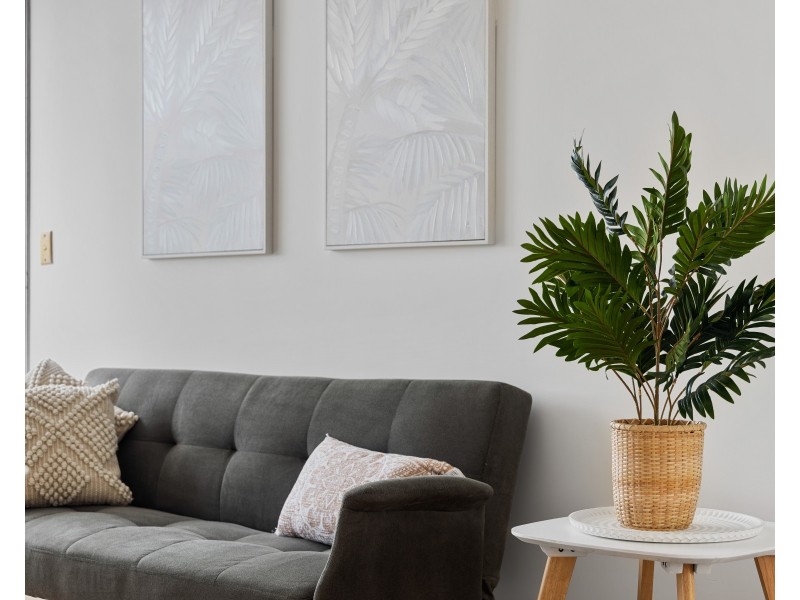 2/143 Beck Street, Paddington QLD 4064