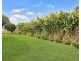 21B Charles Street, Birkdale QLD 4159