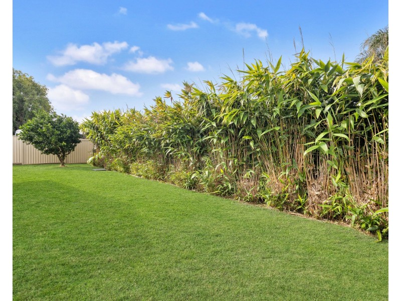 21B Charles Street, Birkdale QLD 4159