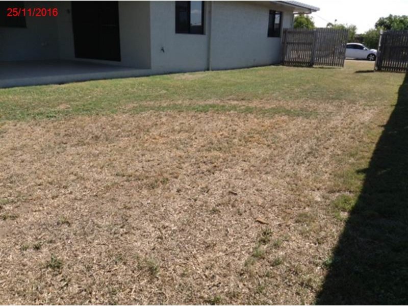 Bohle Plains QLD 4817