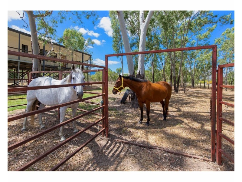 8 Maconachies Road, Majors Creek QLD 4816