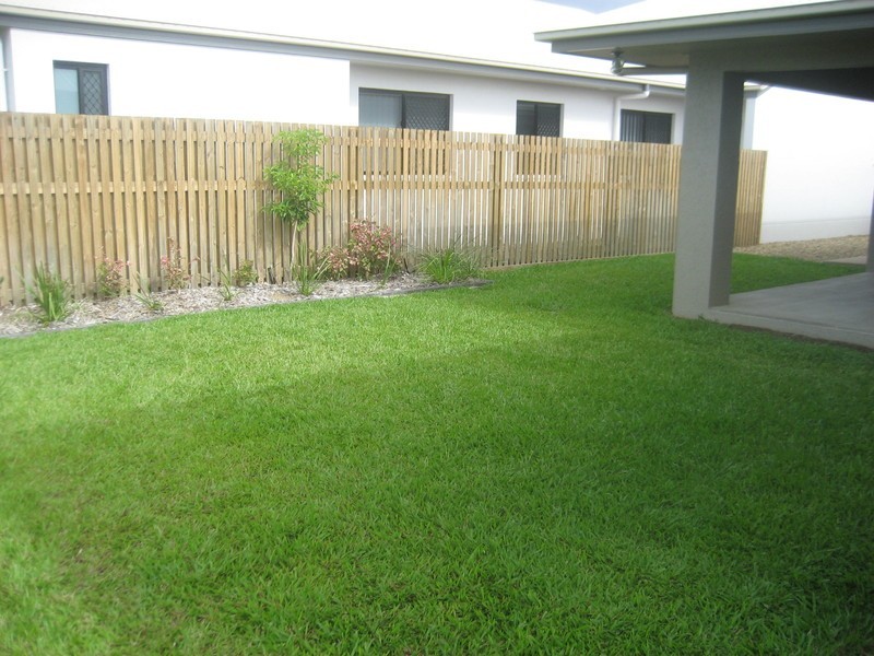 8 Diversity Street, Rasmussen QLD 4815