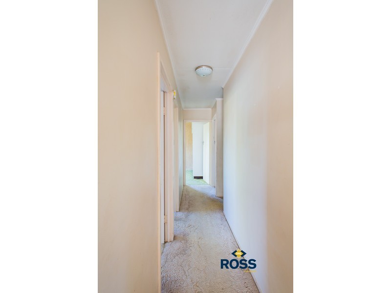 5 Tilanus Street, Heatley QLD 4814