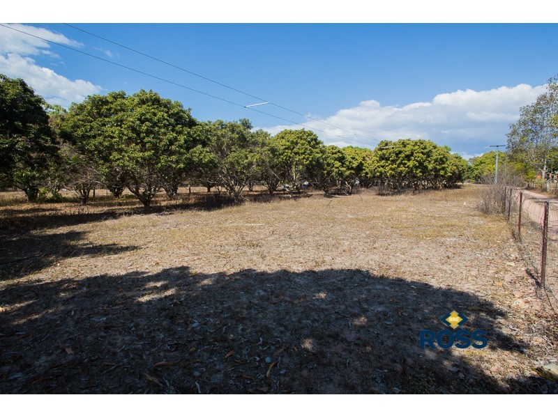 196 Forestry Road, Bluewater QLD 4818