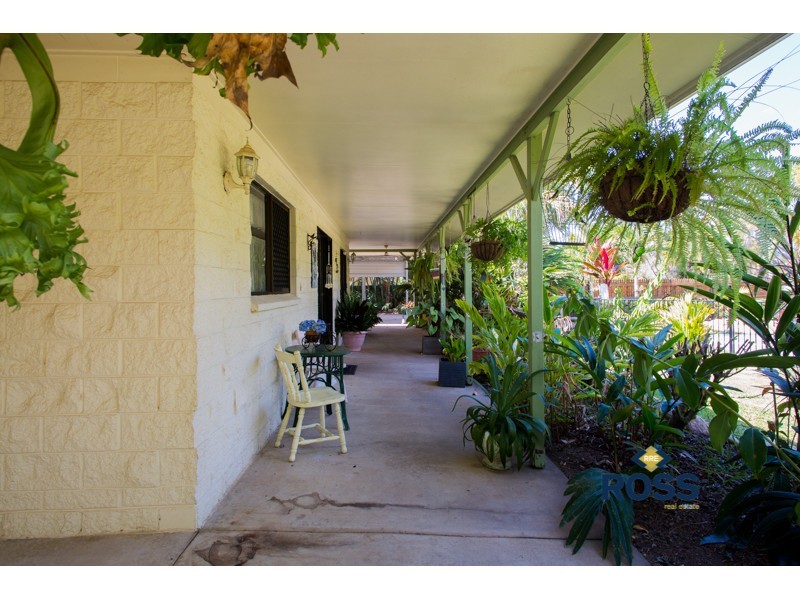 439 Forestry Road, Bluewater Park QLD 4818