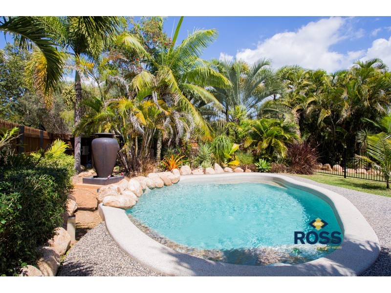 439 Forestry Road, Bluewater Park QLD 4818