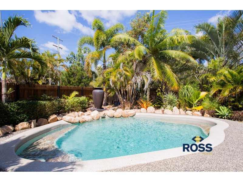 439 Forestry Road, Bluewater Park QLD 4818