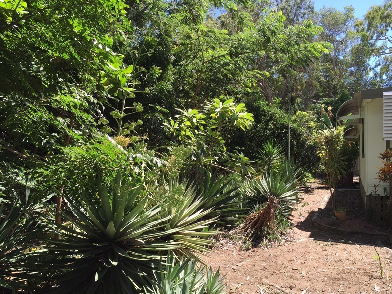 20 Snapper Court, Cungulla QLD 4816