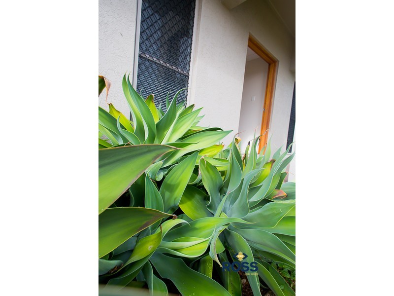 1 Makena Circuit, Burdell QLD 4818