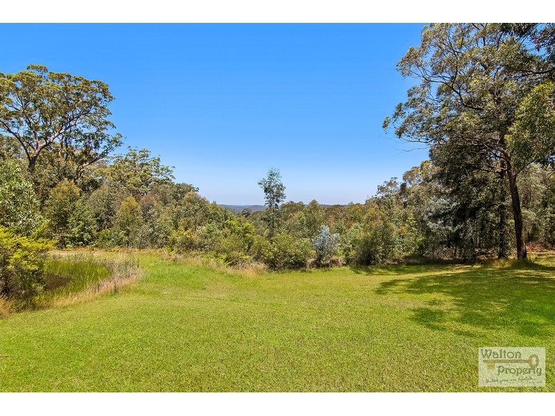 100 Wheelbarrow Ridge Road, Colo Heights NSW 2756